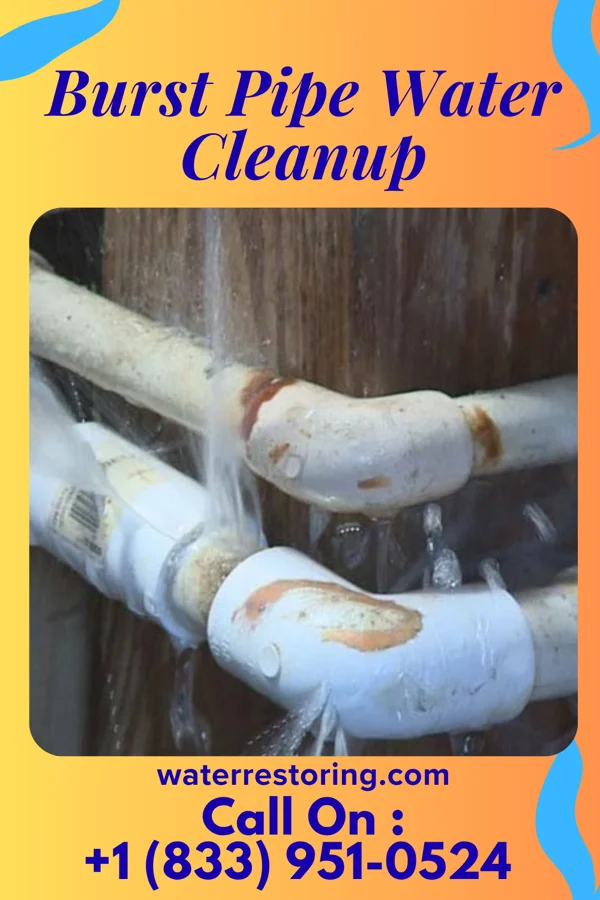Burst Pipe Water Cleanup in Ranger, TX