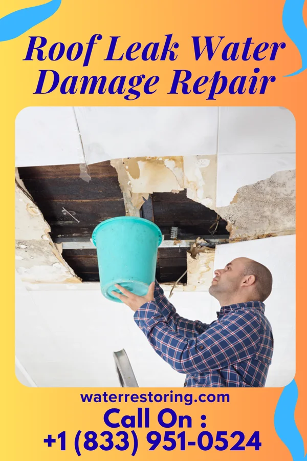 Roof Leak Water Damage Repair in Ranger, TX